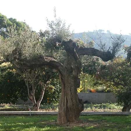 El Campillo Navajas